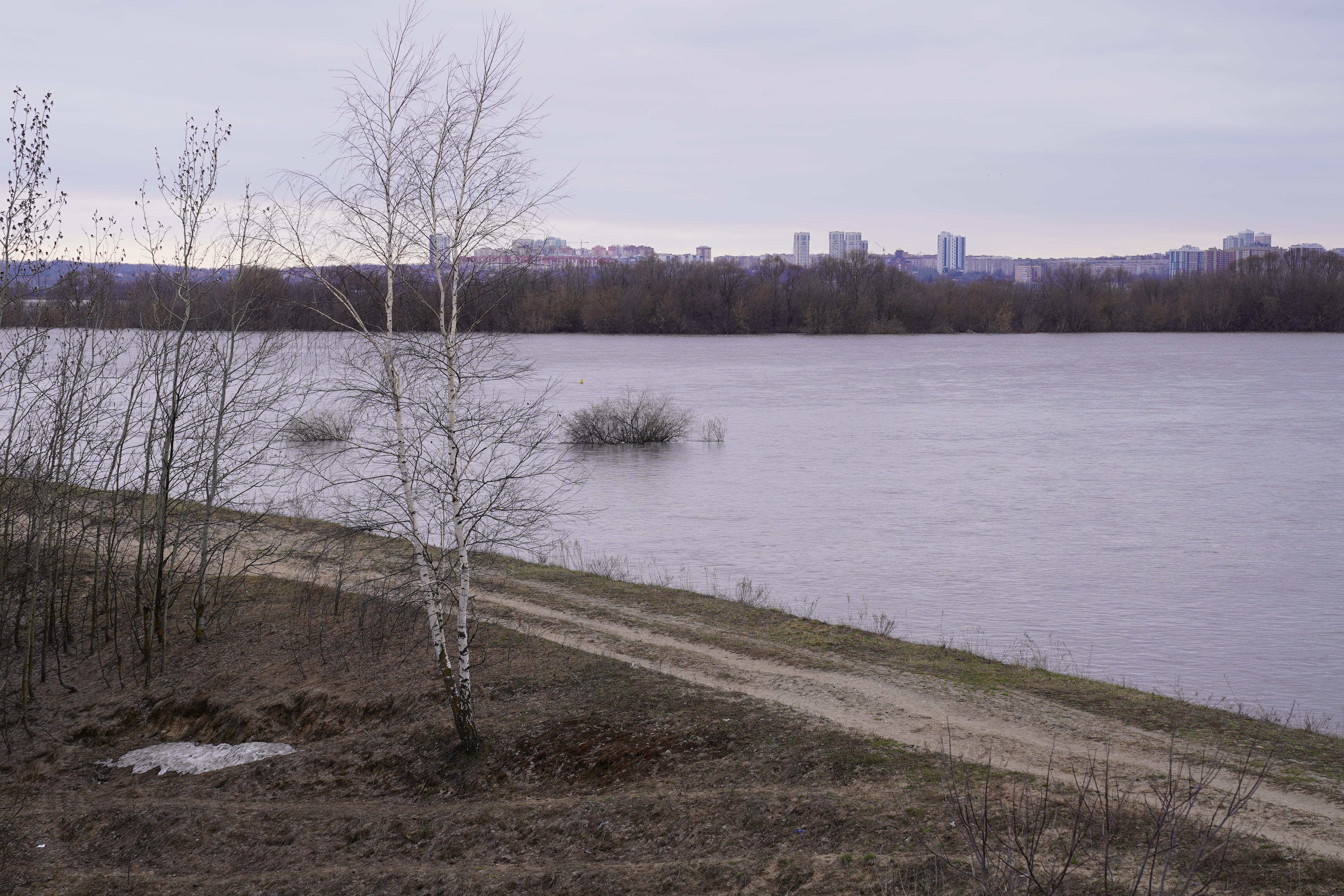 Уровень воды в Оке в Рязани повысился еще на 20 сантиметров | 06.04.2024 |  Рязань - БезФормата